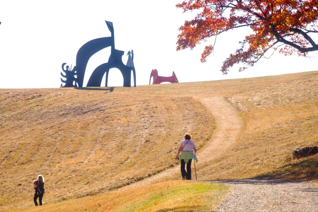 Man walking through the undulating landscape of Maya Lin's Wavefield sculpture at the Storm King Art Center during the fall season